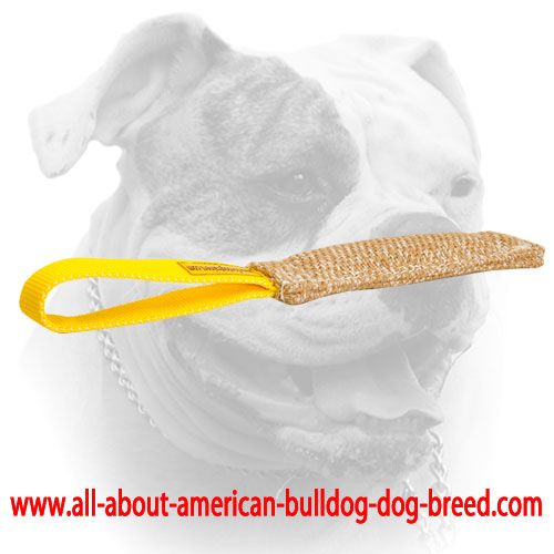 (image for) Jute American Bulldog puppy bite tug with comfy loop