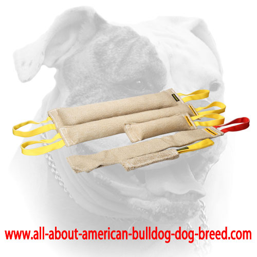 (image for) American Bulldog Training supplies jute bite tugs set