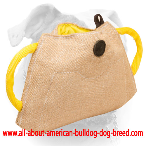(image for) Puppy and young American Bulldog bite builder made of jute