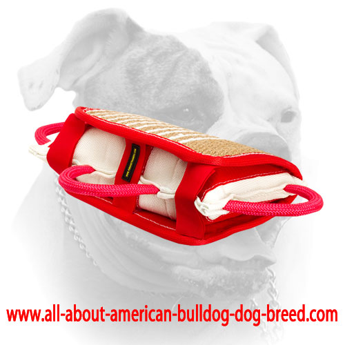 (image for) American Bulldog bite pillow with removable jute cover