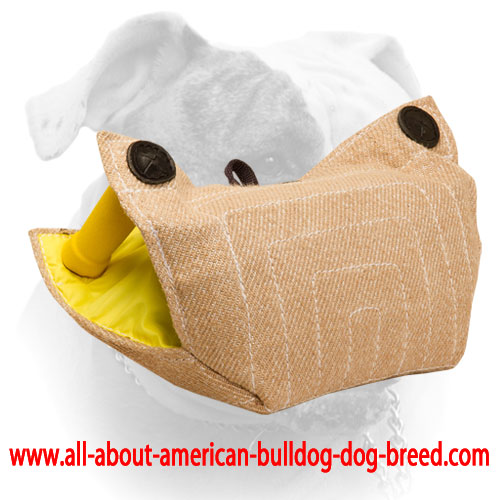 (image for) Effective training jute American Bulldog puppy bite developer