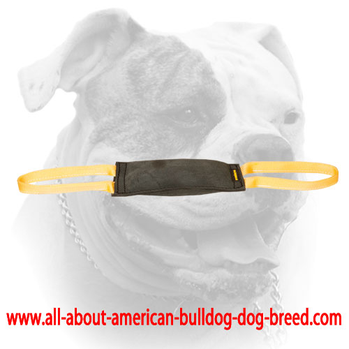 (image for) Leather bite tug for American Bulldog puppy or young dog training