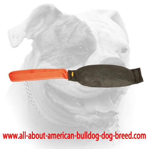 (image for) Dog bite tug made of leather with handle for American Bulldog