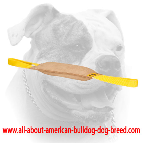 (image for) Leather American Bulldog bite tug with two handles