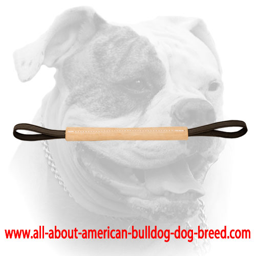 (image for) American Bulldog puppy pocket toy made of leather