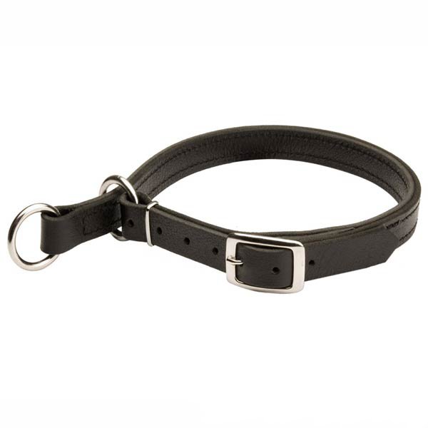 (image for) Adjustable Leather American Bulldog Slip Collar&Nickel plated hardware