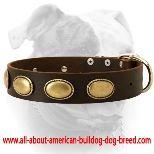(image for) Retro rulz vintage leather American Bulldog collar