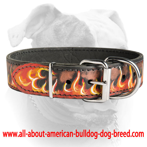 Dog Collar Styles for Every Dog