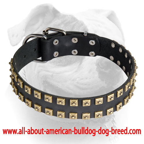 (image for) Exclusive handmade design leather collar for American Bulldog