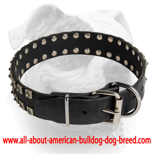 Luxury Leather Dog Collars, Luxury Collars