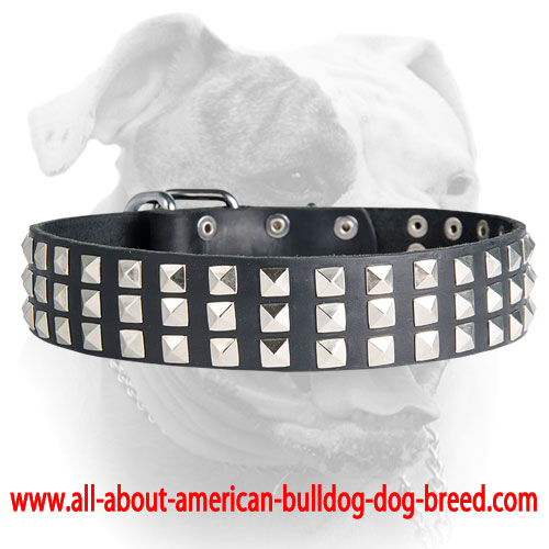 (image for) Silver Pyramid Leather Collar for American Bulldog