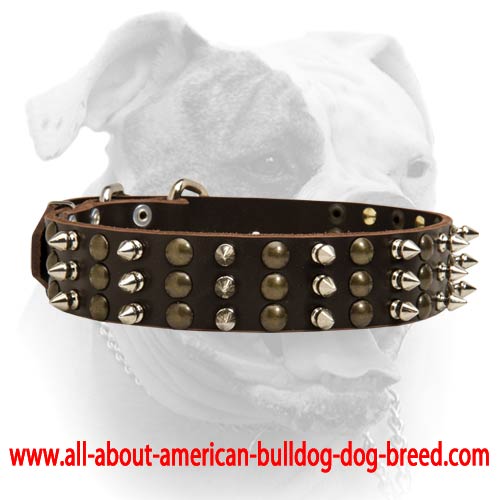 Big collar-Studs and Spikes leather dog collar for Large breeds [S59##1095  3spikes+3 old brass studs] : American Bulldog Harness,American Bulldog  Muzzle,American Bulldog Collar,Dog leashes, Dog training collars,Prong  collars,pinch collars,spiked dog