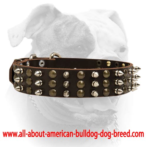 Big collar-Studs and Spikes leather dog collar for Large breeds