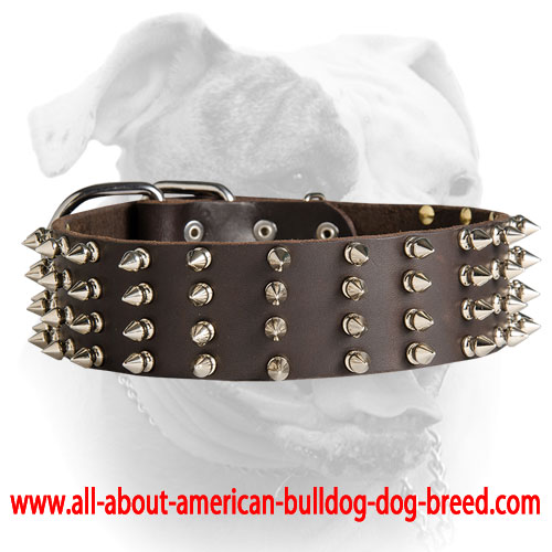 (image for) Stylish elegant 2 inch wide spiked leather American Bulldog collar