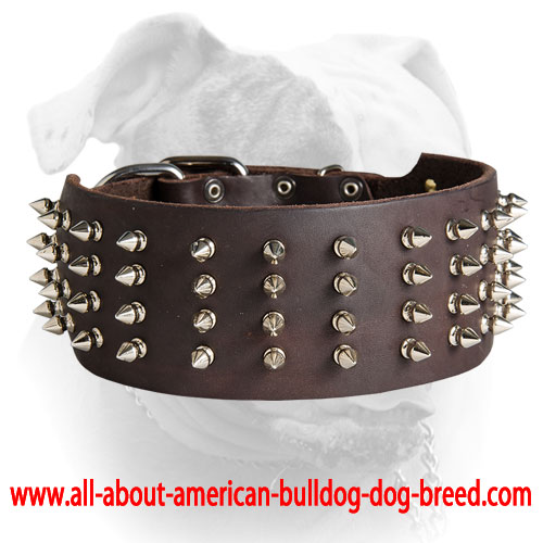 (image for) Handmade leather American Bulldog collar with silver-like spikes - Click Image to Close