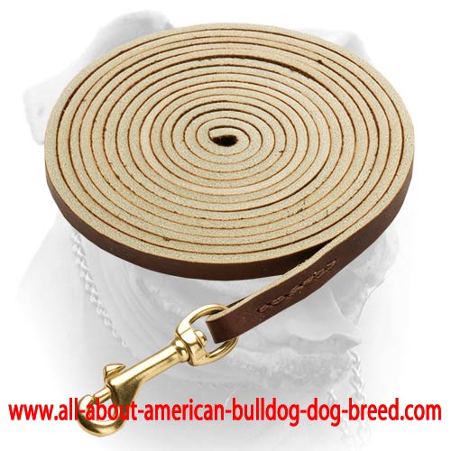 (image for) Super Long Leather Lead for American Bulldog