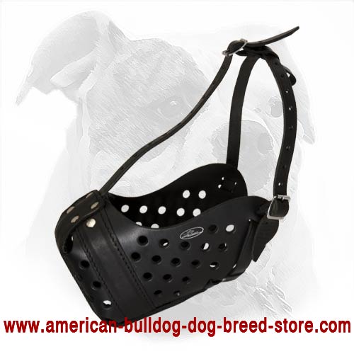 Leather dog muzzle 'Dondi'-pluse style For American Bulldog