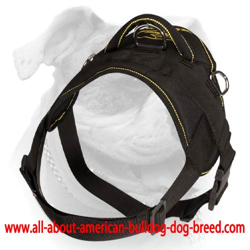 (image for) Nylon multi-purpose American Bulldog harness for tracking/pulling with handle