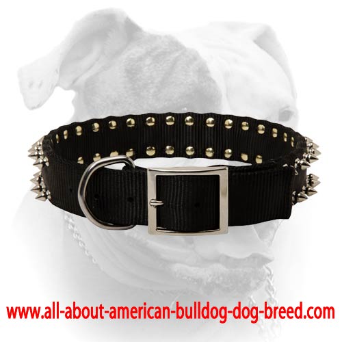 (image for) Stylish nylon collar with 2 rows of nickel spikes for American Bulldog