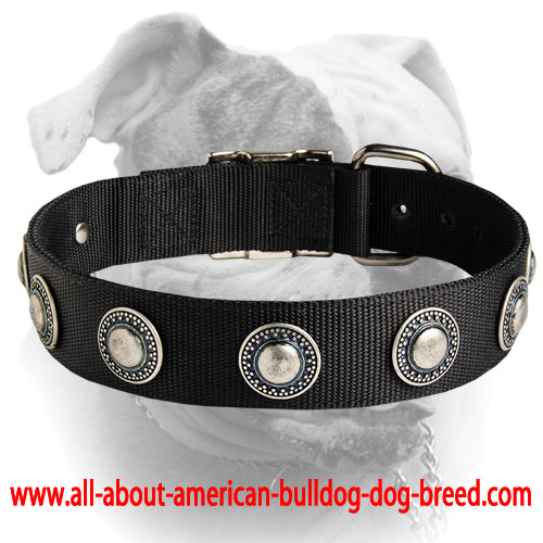(image for) Luxury decorated nylon American Bulldog collar