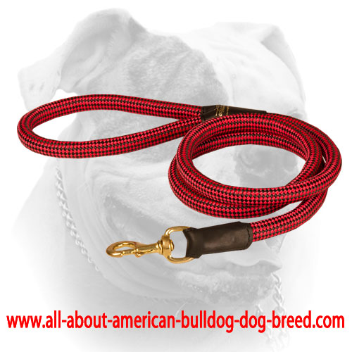 (image for) Cord nylon dog leash for American Bulldog