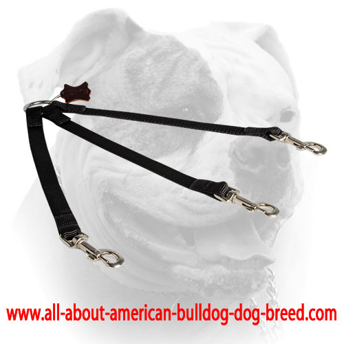 (image for) All weather usage nylon triple coupler for walking three dogs
