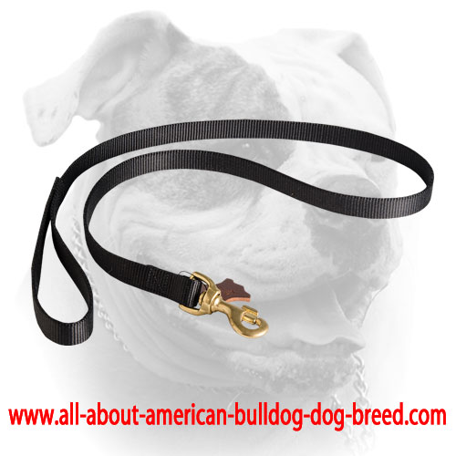 (image for) Deluxe Nylon Lead with Swivel Snap for American Bulldog