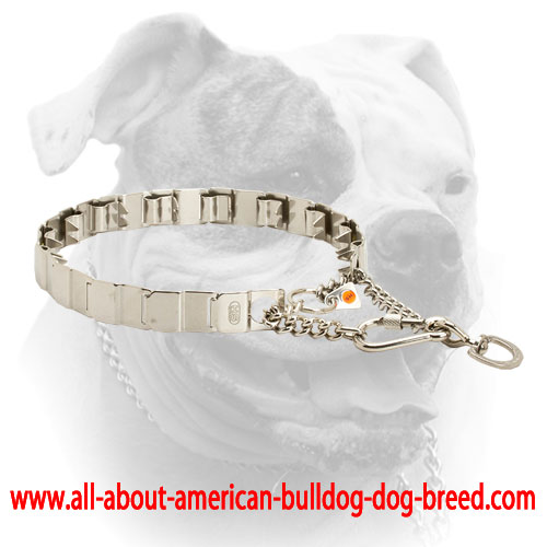 (image for) Herm Sprenger stainless steel neck tech American Bulldog pinch prong collar