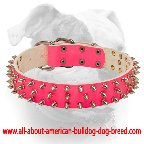 collars with spikes
