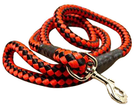 Round Nylon Leash