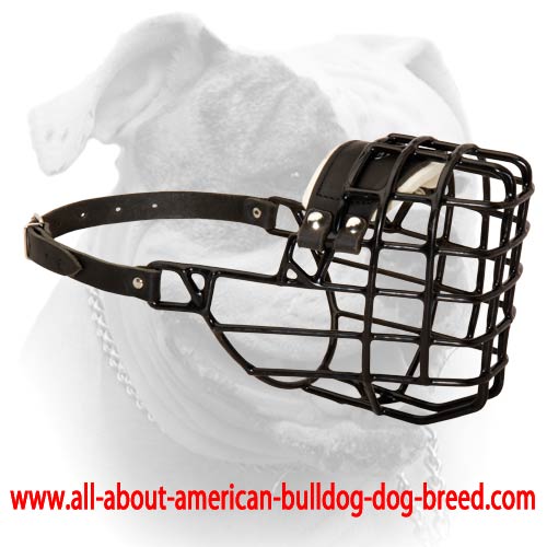 (image for) Universal Training Wire Muzzle for American Bulldog