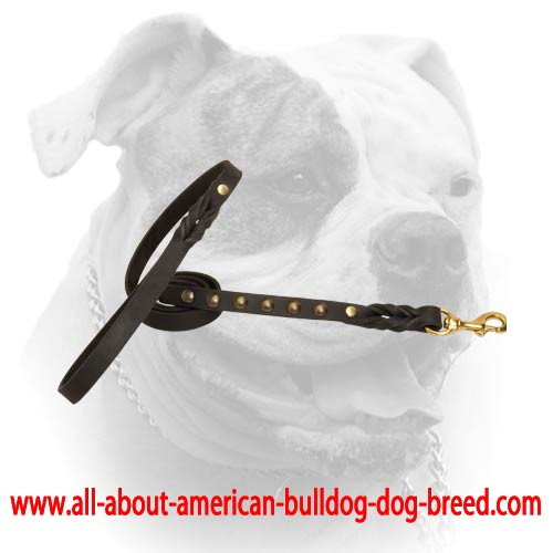 (image for) Studded elegant leather leash for American Bulldog