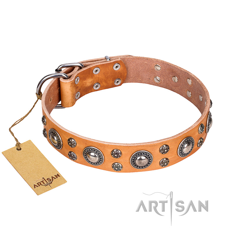 (image for) 'Extra Sparkle' FDT Artisan Handcrafted American Bulldog Tan Leather Dog Collar