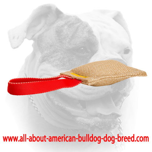(image for) Jute American Bulldog puppy bite tug with one handle