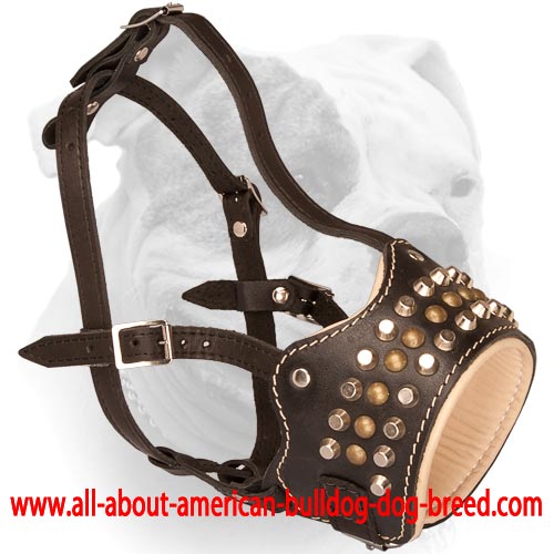 (image for) Royal Pyramids & Studs Leather Dog Muzzle for American Bulldog