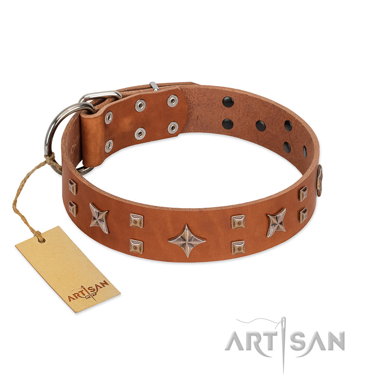 (image for) "Dreamy Gleam" FDT Artisan Tan Leather American Bulldog Collar Adorned with Stars and Squares