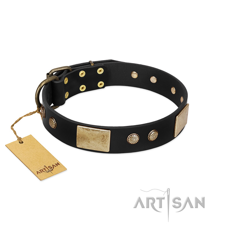 (image for) "Antique Gloss" FDT Artisan Black Leather American Bulldog Collar with Bronze-like Plates and Small Studs