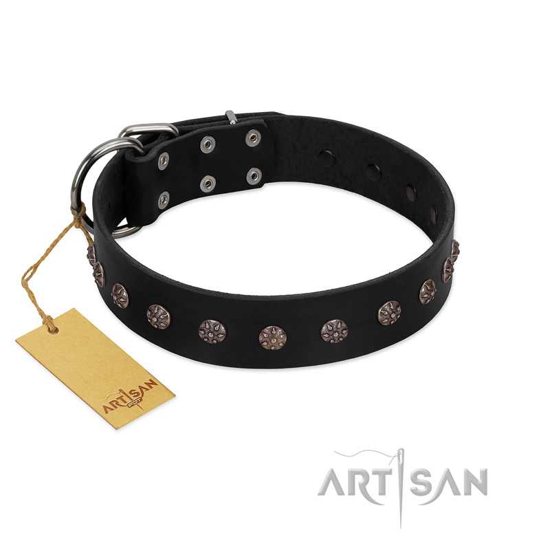 (image for) "Flower Rhapsody" FDT Artisan Premium Quaulity Black Leather American Bulldog Collar