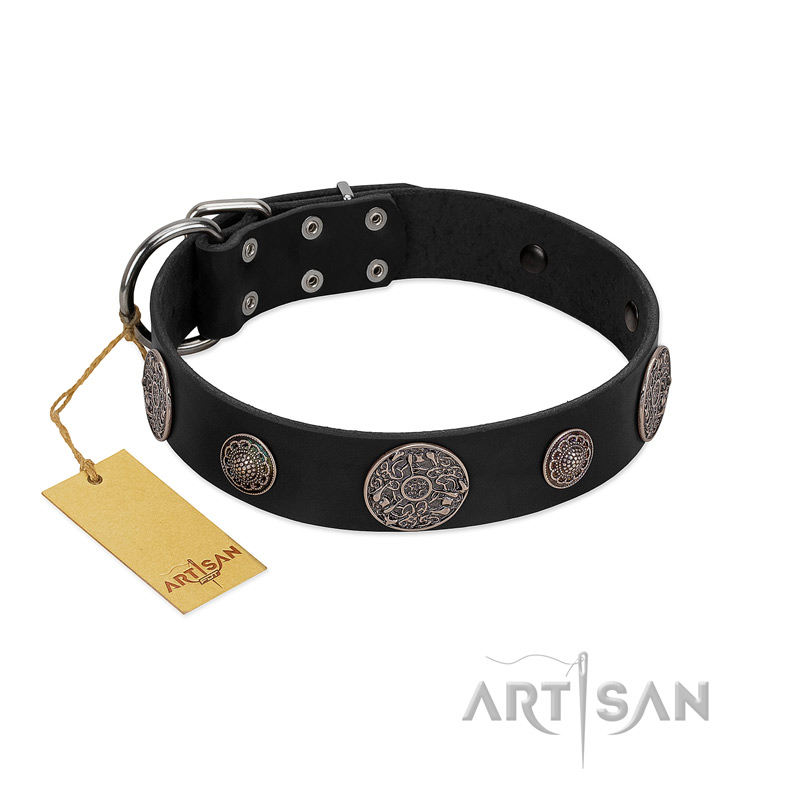 (image for) "Ad Infinitum" Durable FDT Artisan Black Leather American Bulldog Collar with Chrome Plated Brooches
