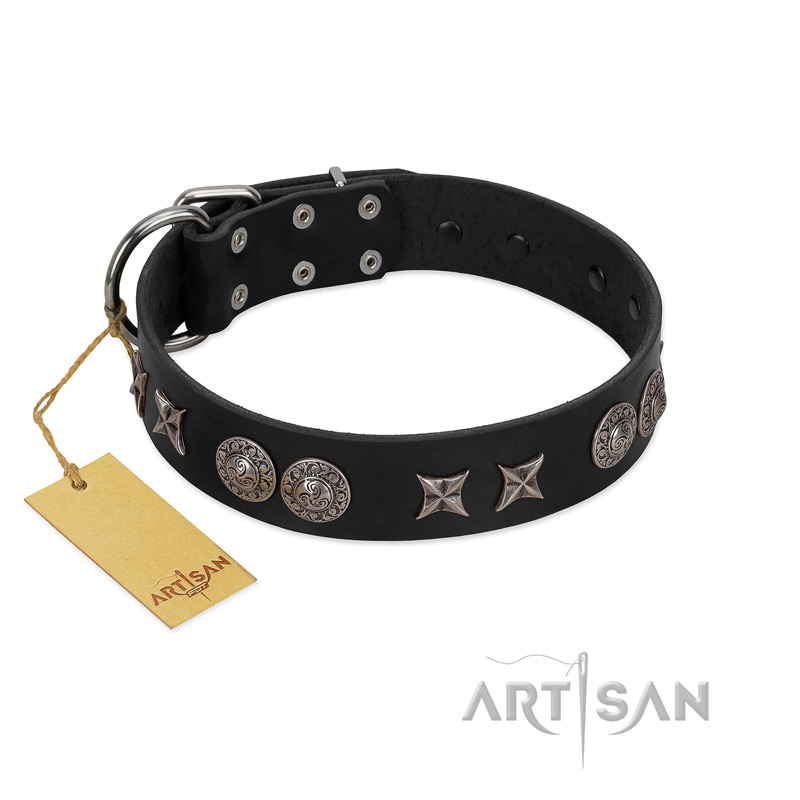 (image for) "Scythian Silver" Stylish Handmade FDT Artisan Black Leather American Bulldog Collar