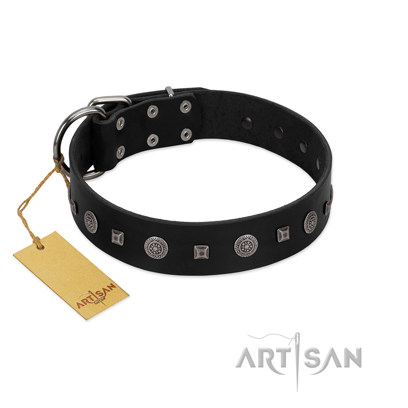 (image for) "Mr. Elegance" Designer FDT Artisan Black Leather American Bulldog Collar with Silver-Like Studs