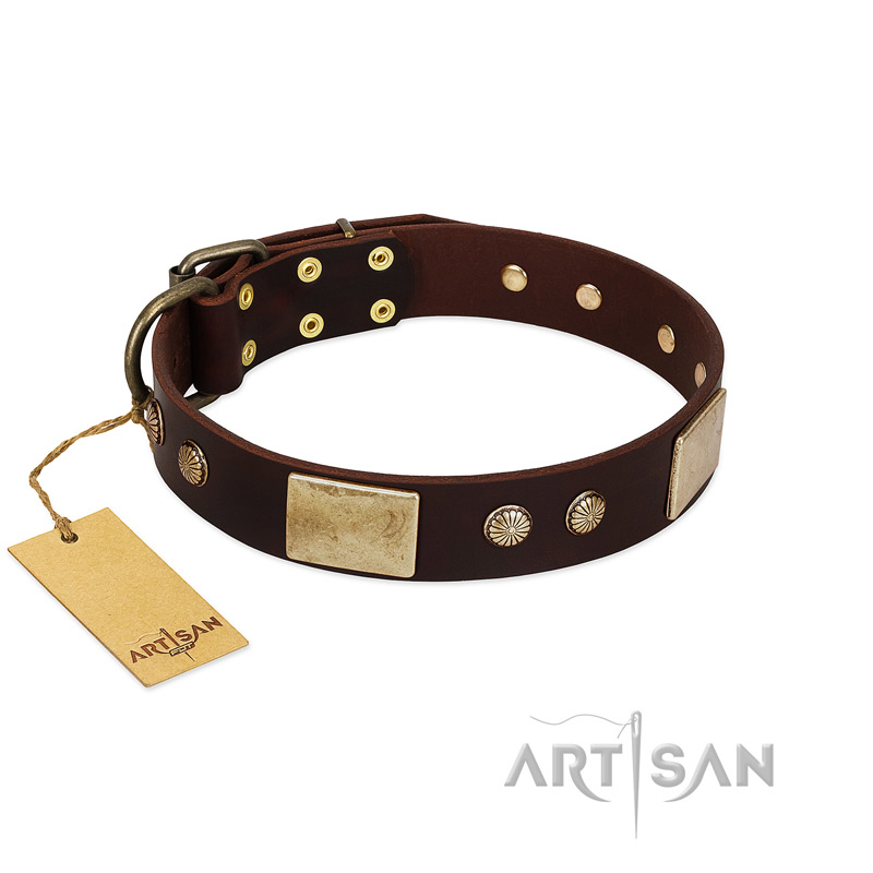 (image for) "Middle Age" FDT Artisan Brown Leather American Bulldog Collar with Old Bronze-Plated Engraved Flowers and Large Plates