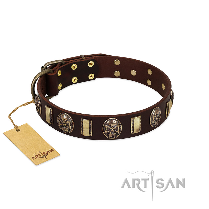 (image for) "Skull's Adventure" FDT Artisan Brown Leather American Bulldog Collar with Plates and Ovals