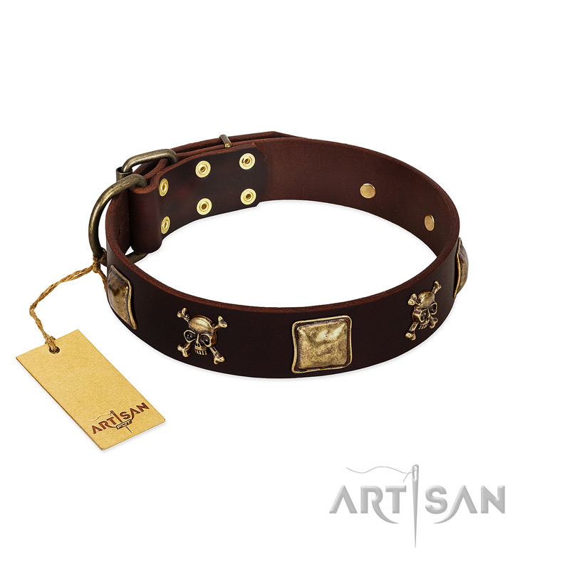 (image for) "Crazy Pirate" FDT Artisan Brown Leather American Bulldog Collar with Old Bronze-Plated Skulls and Plates