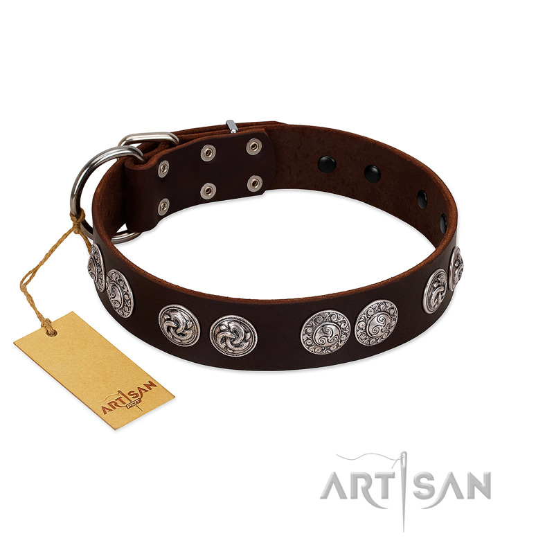 (image for) "High and Mighty" FDT Artisan Classy Brown Leather American Bulldog Collar with Embellished Brooches
