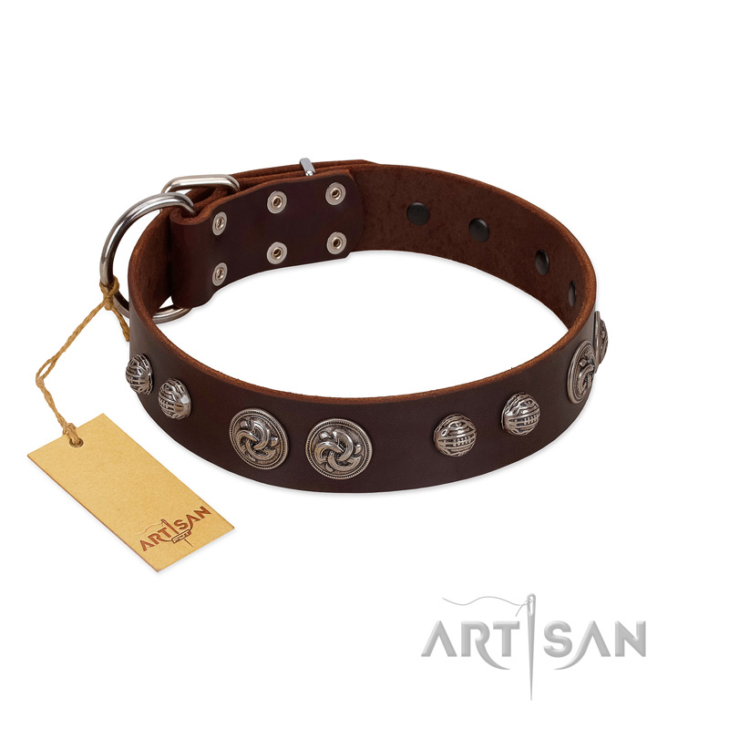 (image for) "Choco Brownie" FDT Artisan Brown Leather American Bulldog Collar Adorned with Silver-Like Conchos