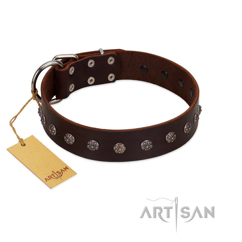 (image for) "Graceful Classic" Mod FDT Artisan Brown Leather American Bulldog Collar