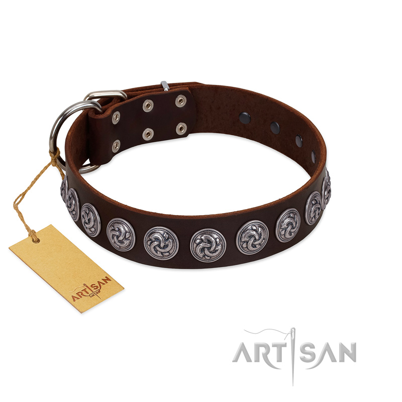 (image for) "Charming Circles" FDT Artisan Brown Leather American Bulldog Collar with Silver-like Studs
