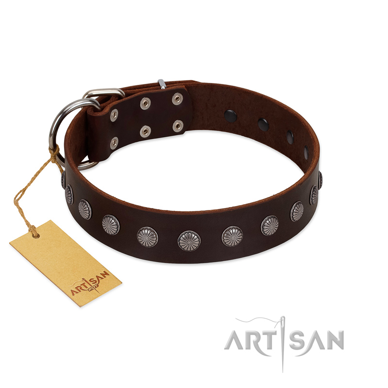 (image for) "Spring Flower" Stylish FDT Artisan Brown Leather American Bulldog Collar for Comfy Walks