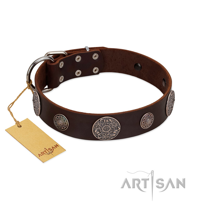 (image for) "Flashy Woof" FDT Artisan Brown Leather American Bulldog Collar with Chrome Plated Brooches